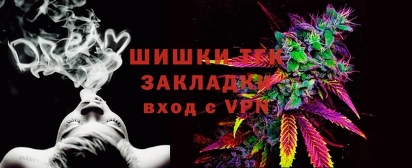 ПСИЛОЦИБИНОВЫЕ ГРИБЫ Осташков