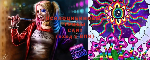 ПСИЛОЦИБИНОВЫЕ ГРИБЫ Осташков